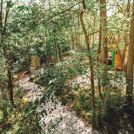 Blue Brambler Glamping A-Frame Apartment Rockbridge Exterior foto