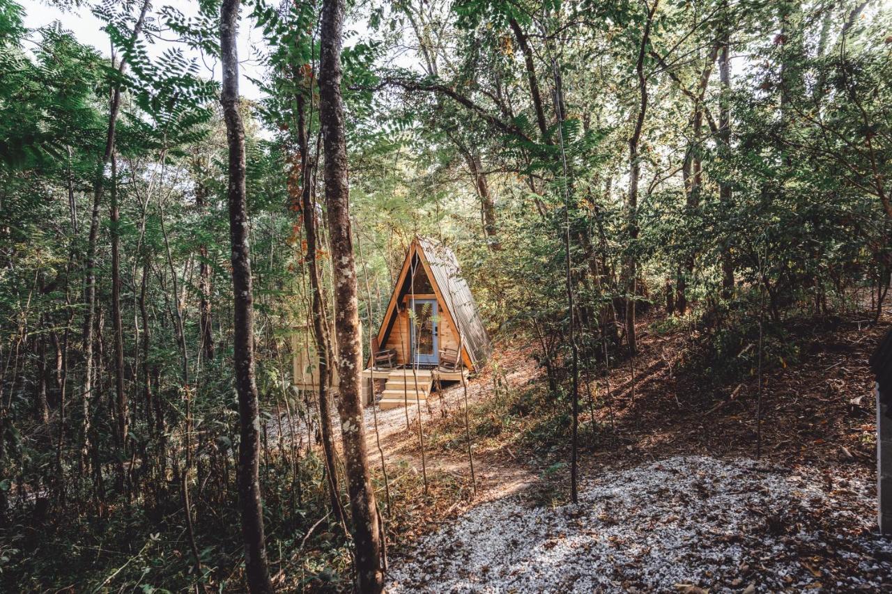Blue Brambler Glamping A-Frame Apartment Rockbridge Exterior foto